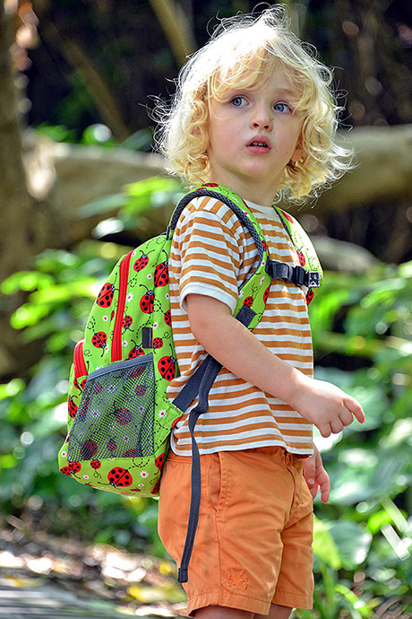 śliczny plecak dla chłopca i dziewczynki zielony w biedronki, Hugger, TTM, 4-8 lat